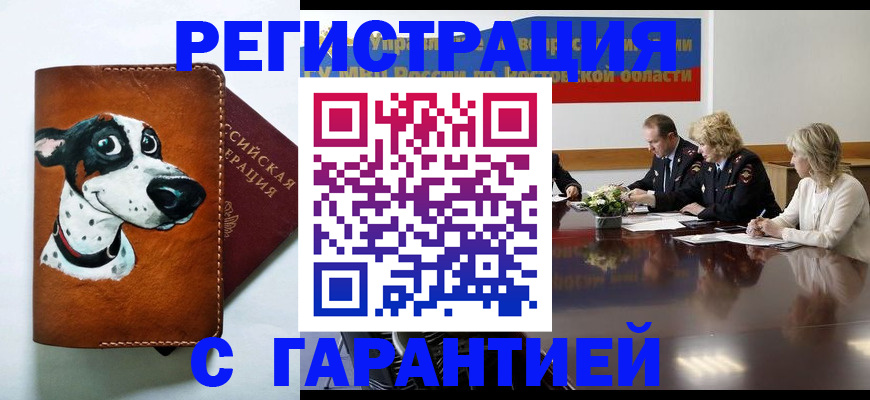 временная регистрация для всех в Хасавюрте